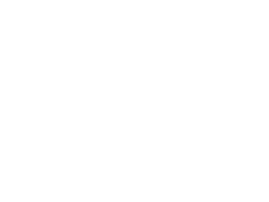 Circular diagram of Common Net services: connectivity, cloud, consultancy and support
