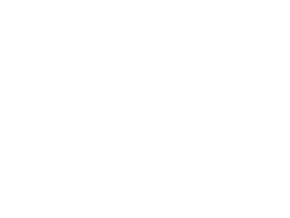 Diagramma circolare dei servizi Common Net: connettività, cloud, consulenza e supporto